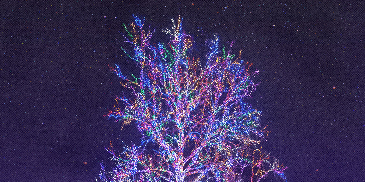 What to Expect at the Magic Tree in 2025